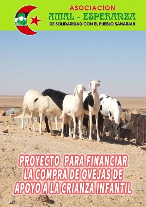 AMAL proyecto compra ovejas para lactancia 1w